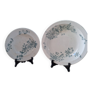 Old set of 2 terre de fer longwy dishes – bird and flower decoration