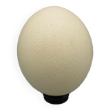 Ostrich egg on pedestal
