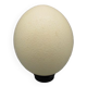 Œuf d'autruche sur socle