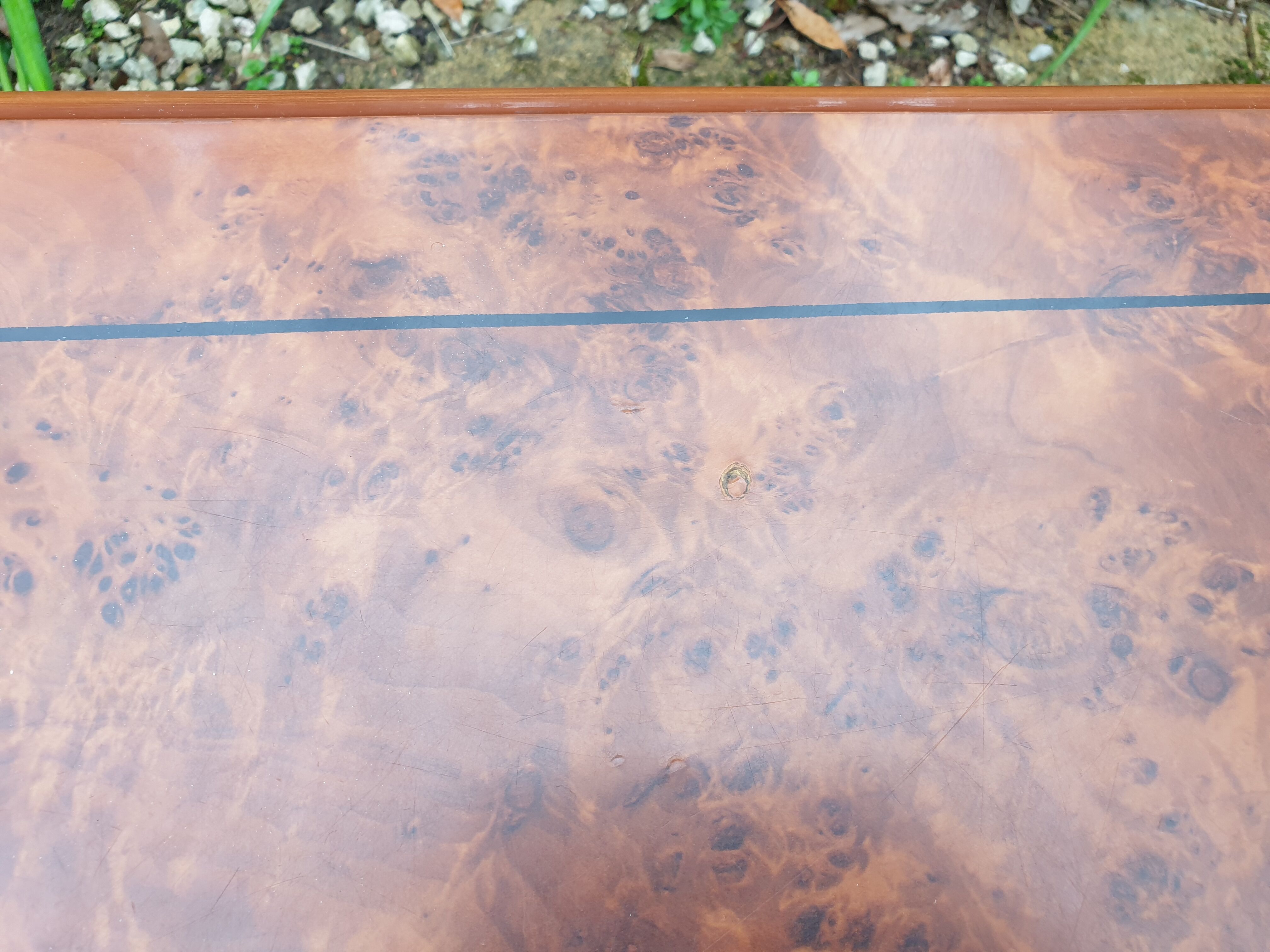 Elm burl cocktail coffee table