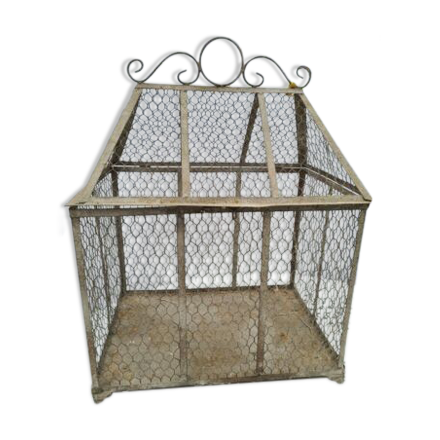 Iron bird cage