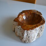 Empty pocket or ashtray in fossilized wood