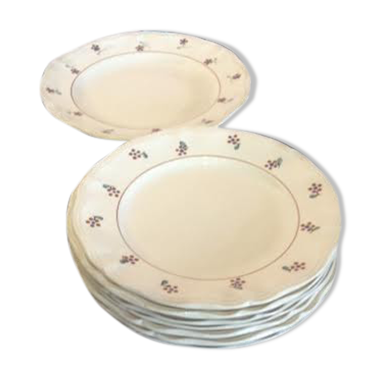 Set of 7 plates and a diguoin dish
