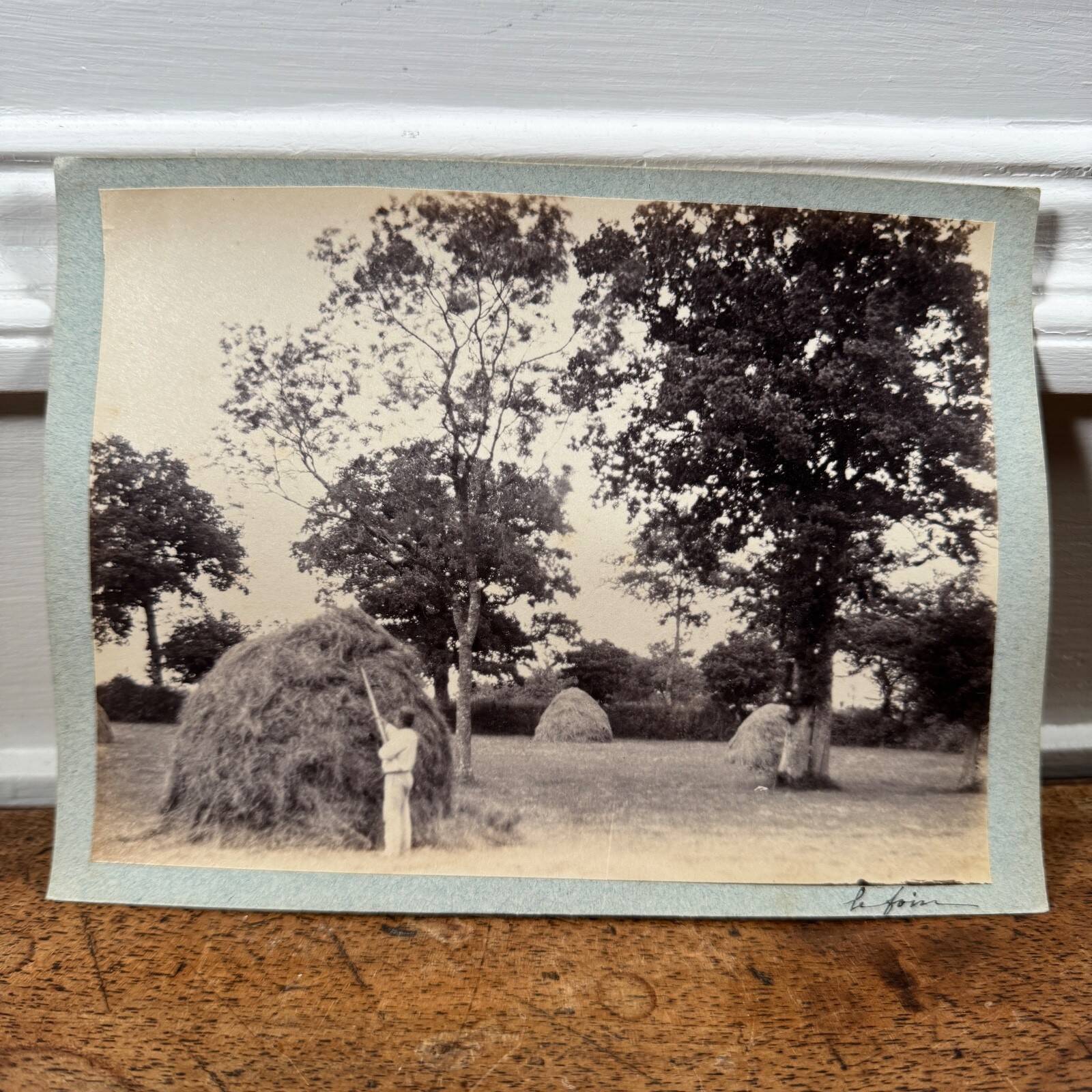 Photo album mounted on cardboard depicting haymaking in the 19th century.