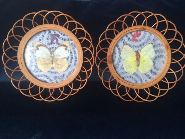 Butterfly coasters in rattan and glass