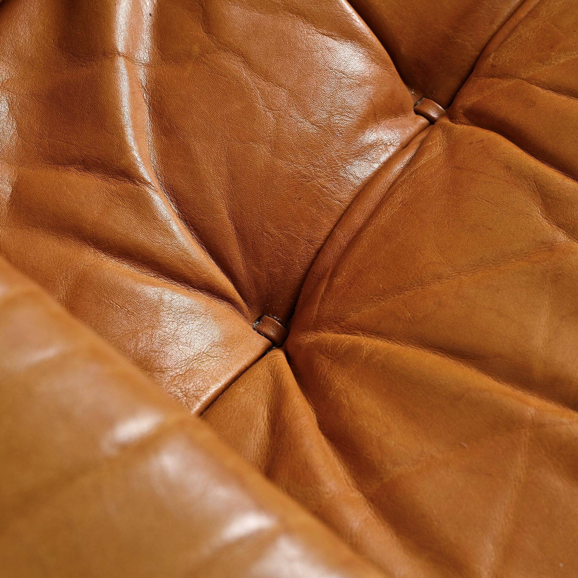 Paire de fauteuils DS-40 de Sede, Suisse, circa 1970