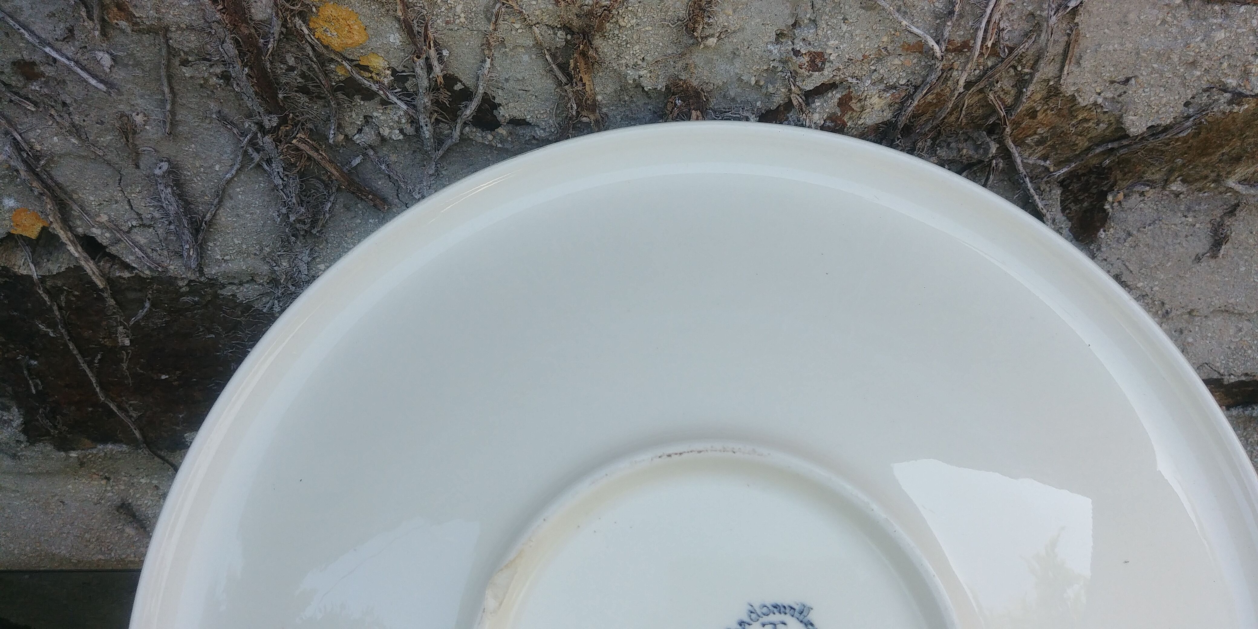 Fruit cup / large dish-Vintage faiencerie Badonviller model Marlene years 50/60