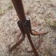 Porte-manteau Baumann "perroquet"