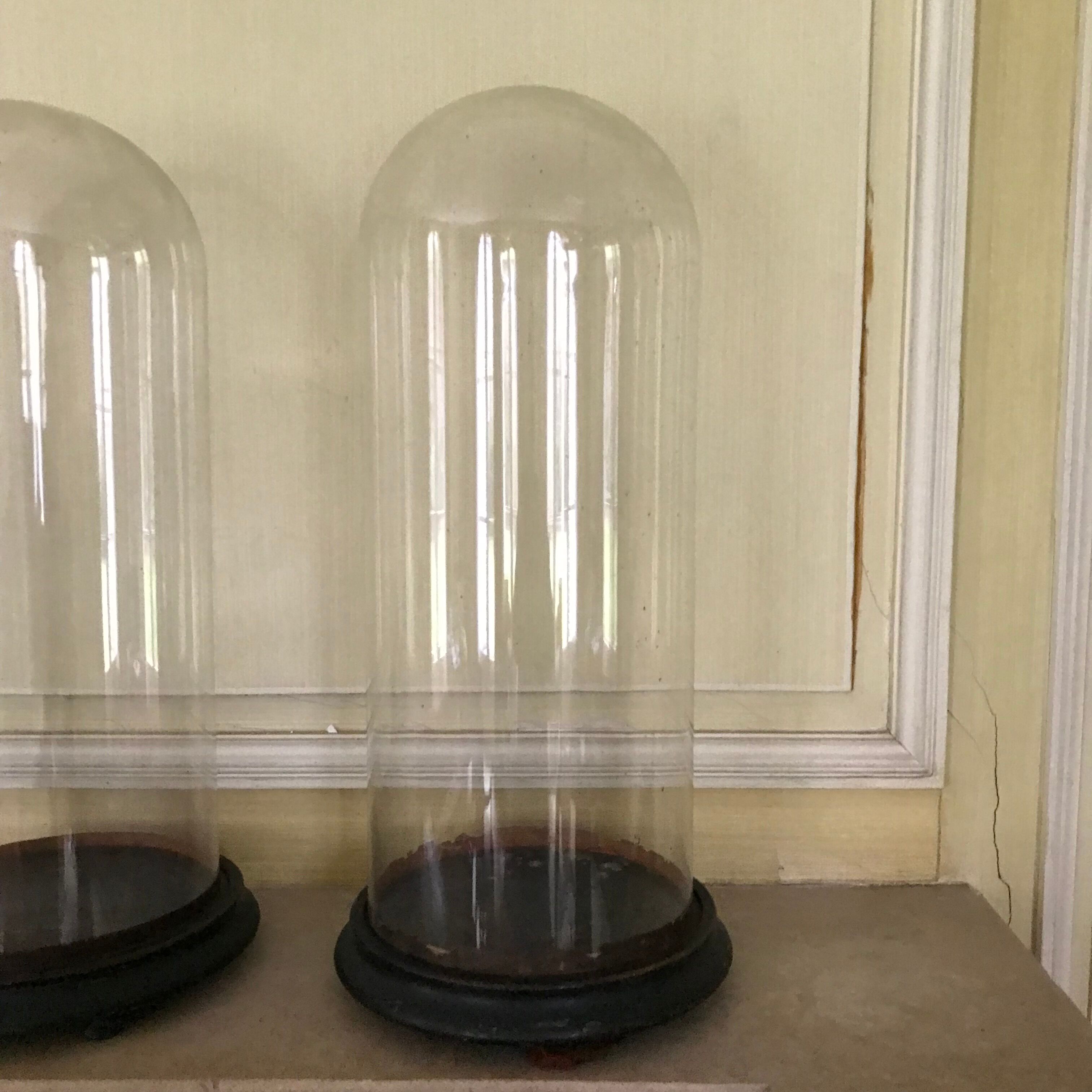Pair of bride and groom globes in blown glass XIX century