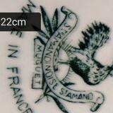 Old plate decorated with Saint Amand thrush