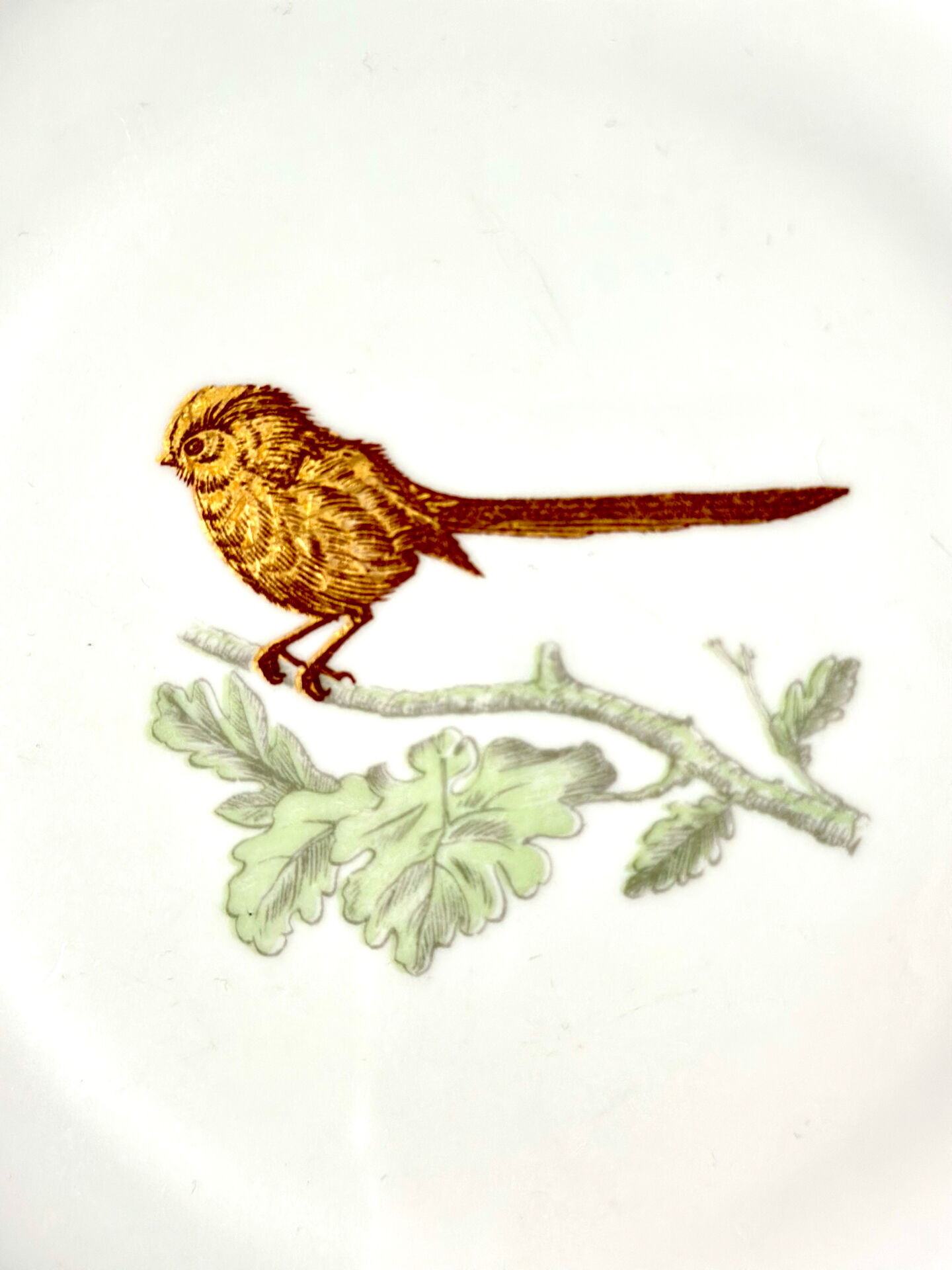 Service Bernardaud Les oiseaux d’or