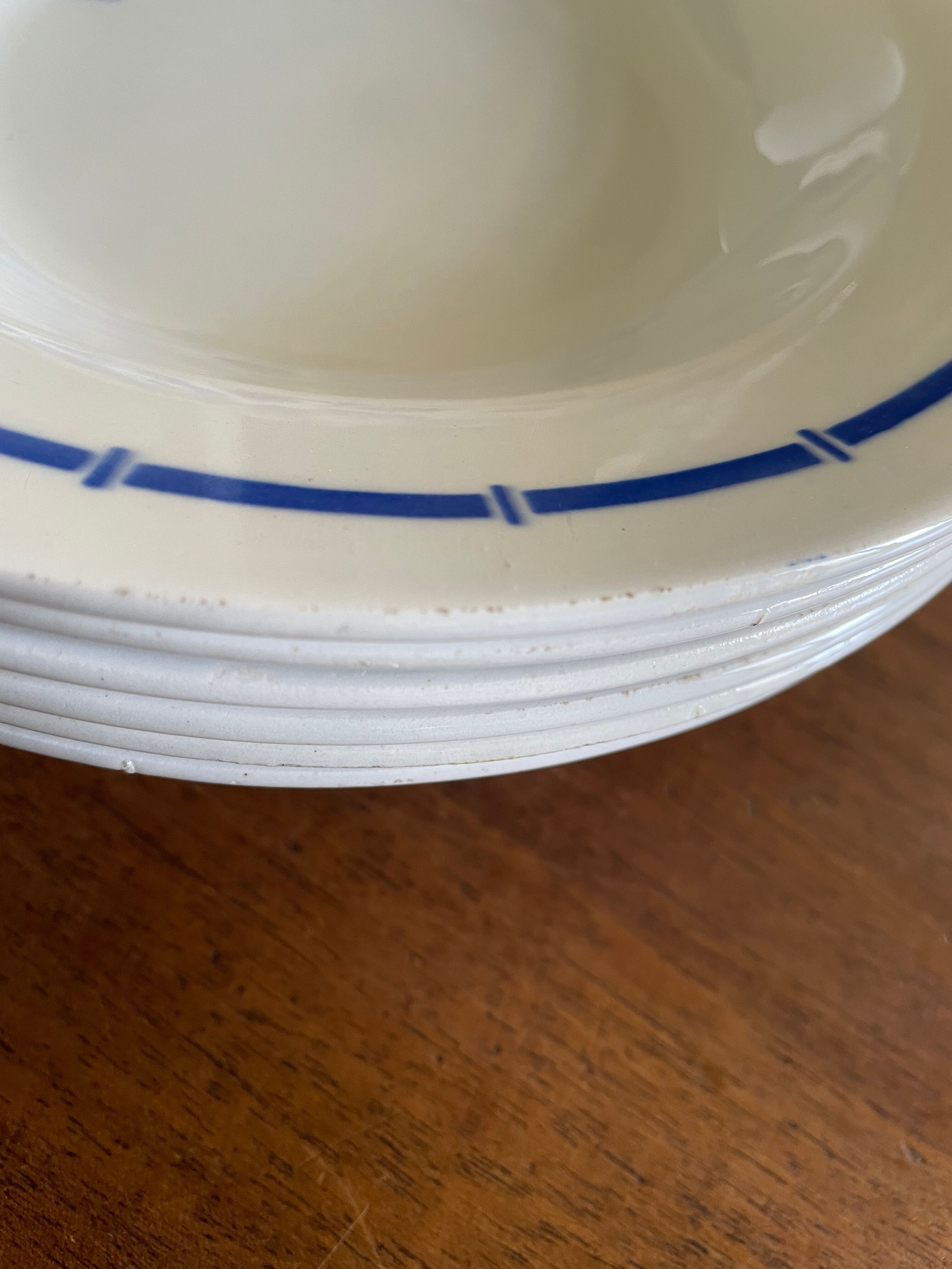Hollow plates ceranord saint amand blue flower