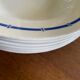Hollow plates ceranord saint amand blue flower