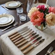 Set of 8 Art Deco Knives with Boxwood Handles & Blades "La Mouette"