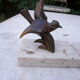 Bird book greenhouses on marble