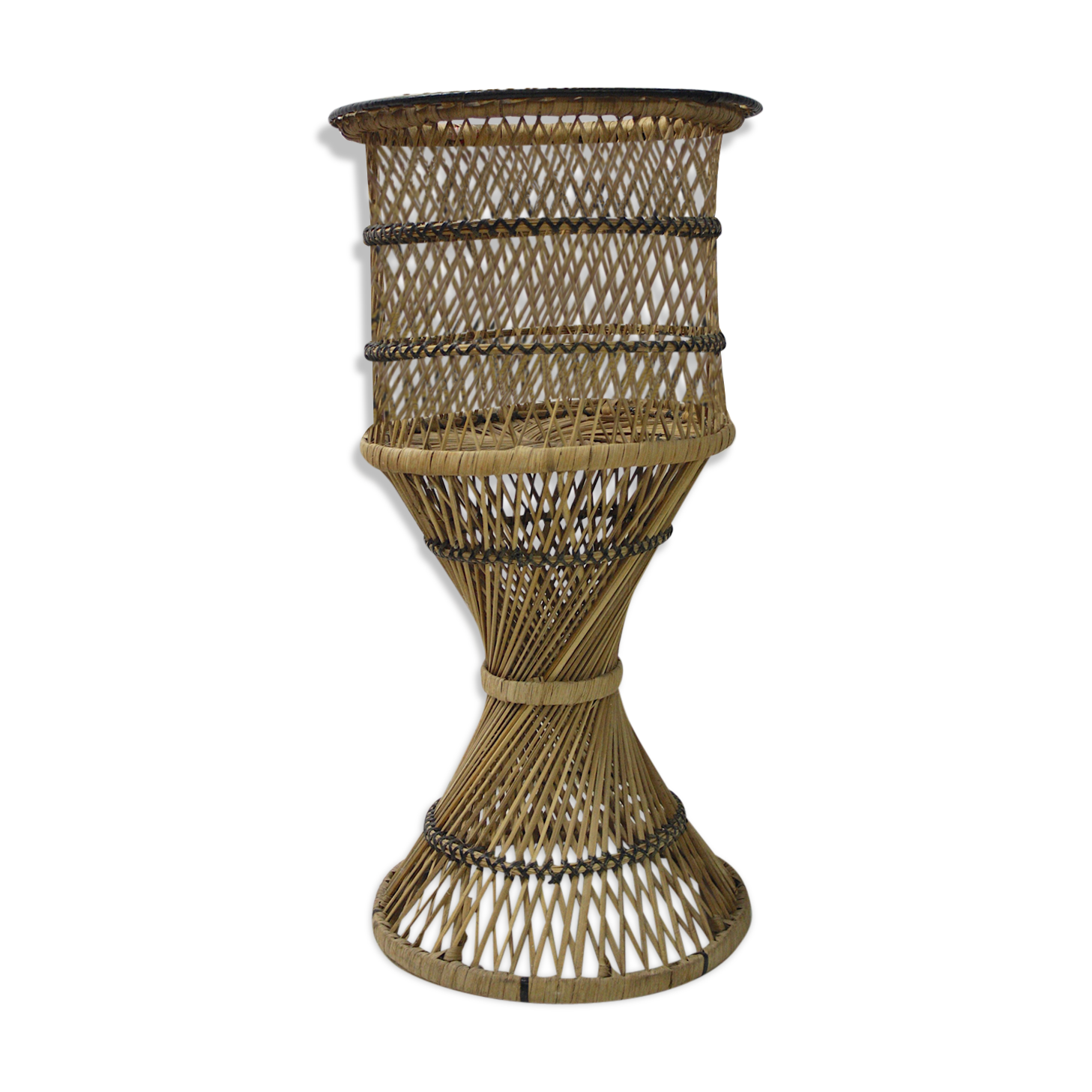 Door diabolo rattan plant