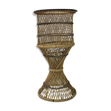 Door diabolo rattan plant