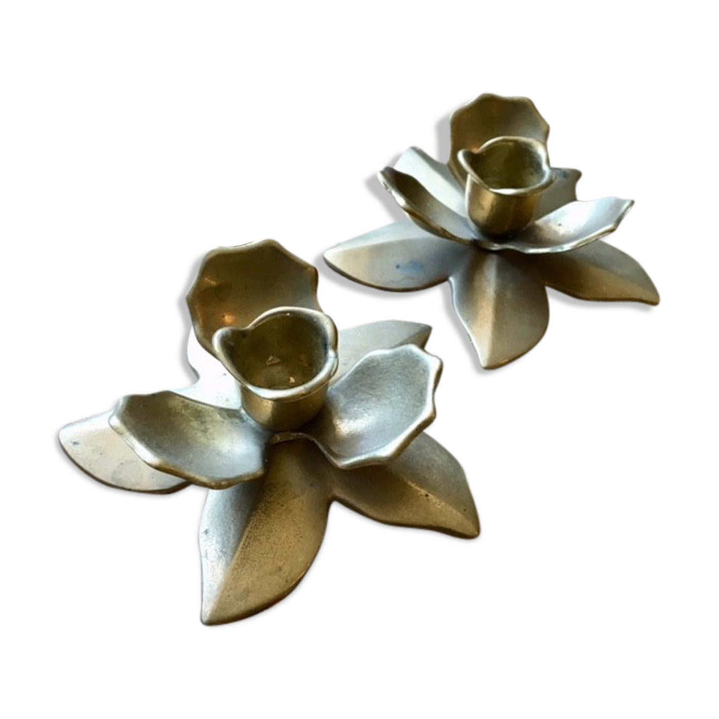 Pair of floral sconces