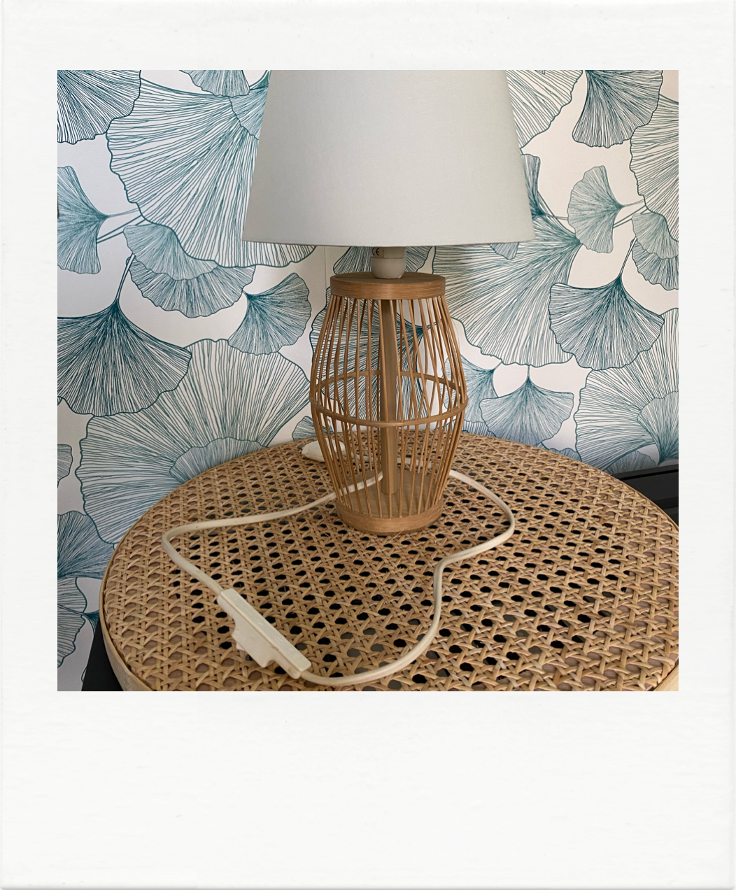 Bamboo cage lamp