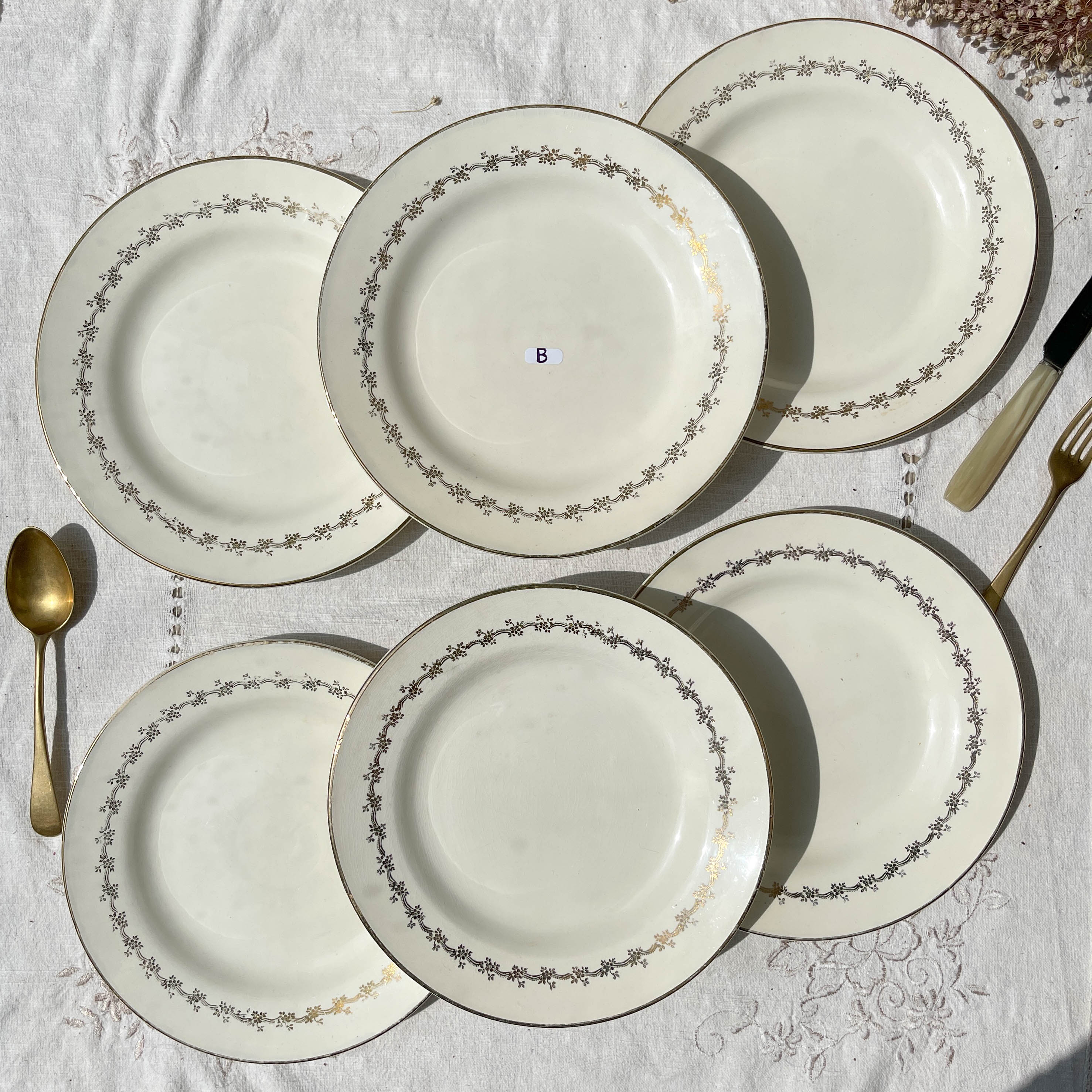 6 opaque porcelain dinner plates, Digoin model "Suzy"