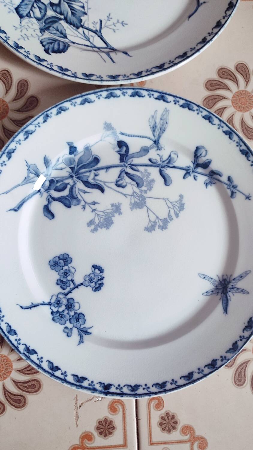 5 Carmen dinner plates by UetC Sarreguemines