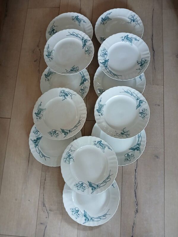 12 assiettes plates anciennes en Terre de fer