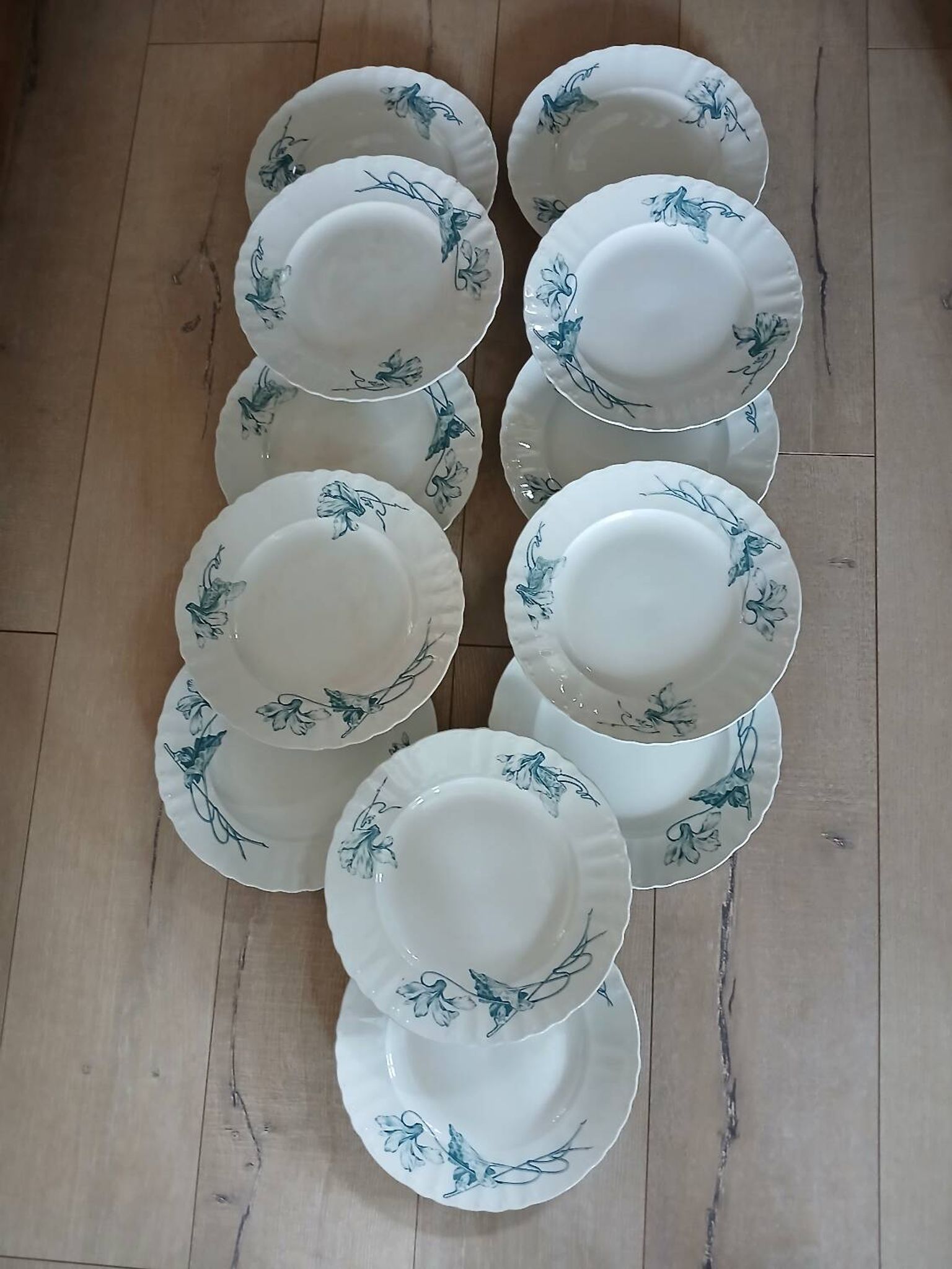 12 assiettes plates anciennes en Terre de fer 