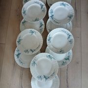 12 assiettes plates anciennes en Terre de fer 