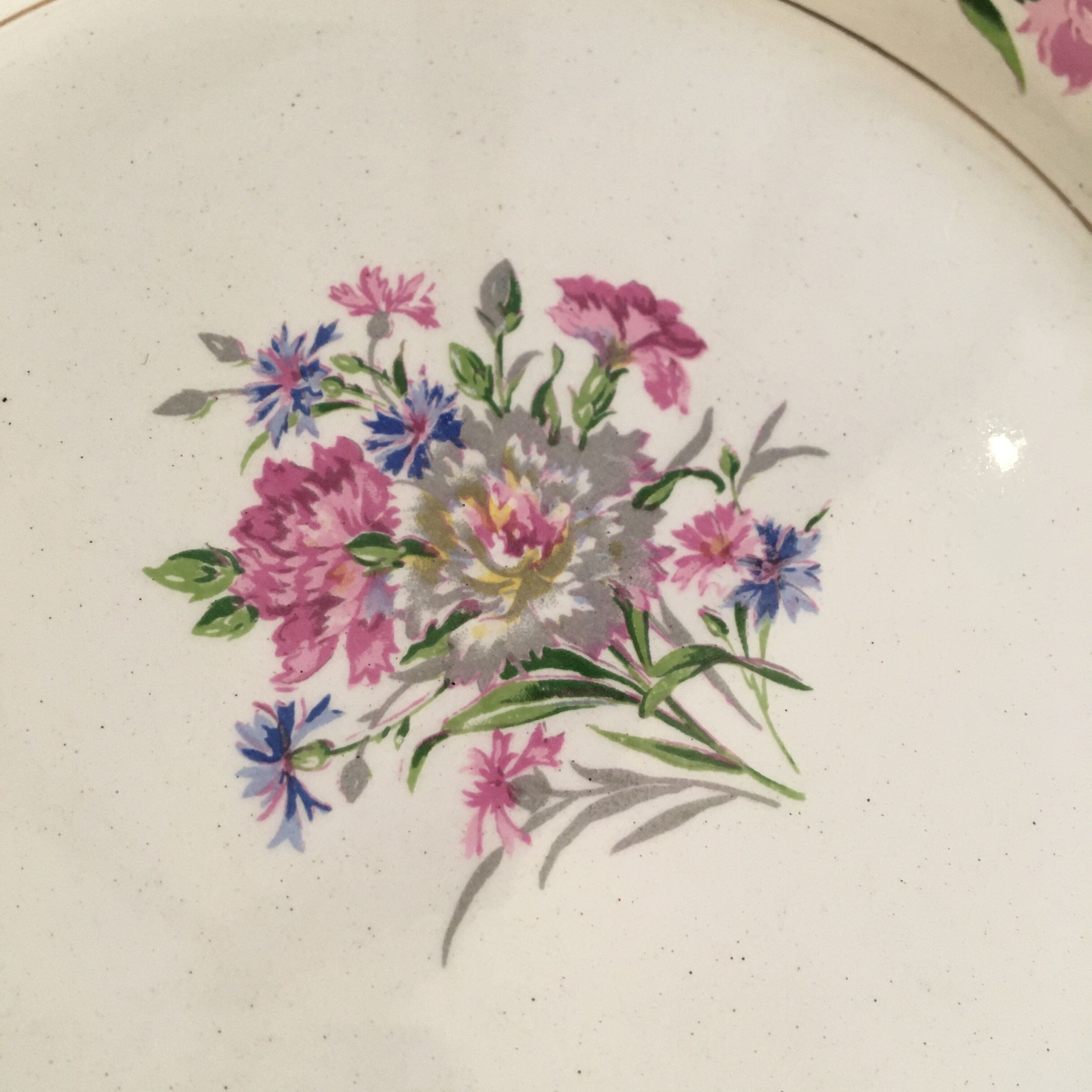 Set of 12 dessert plates carnations digoin sarreguemines