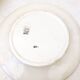 Flat ironstone plate, green floral model