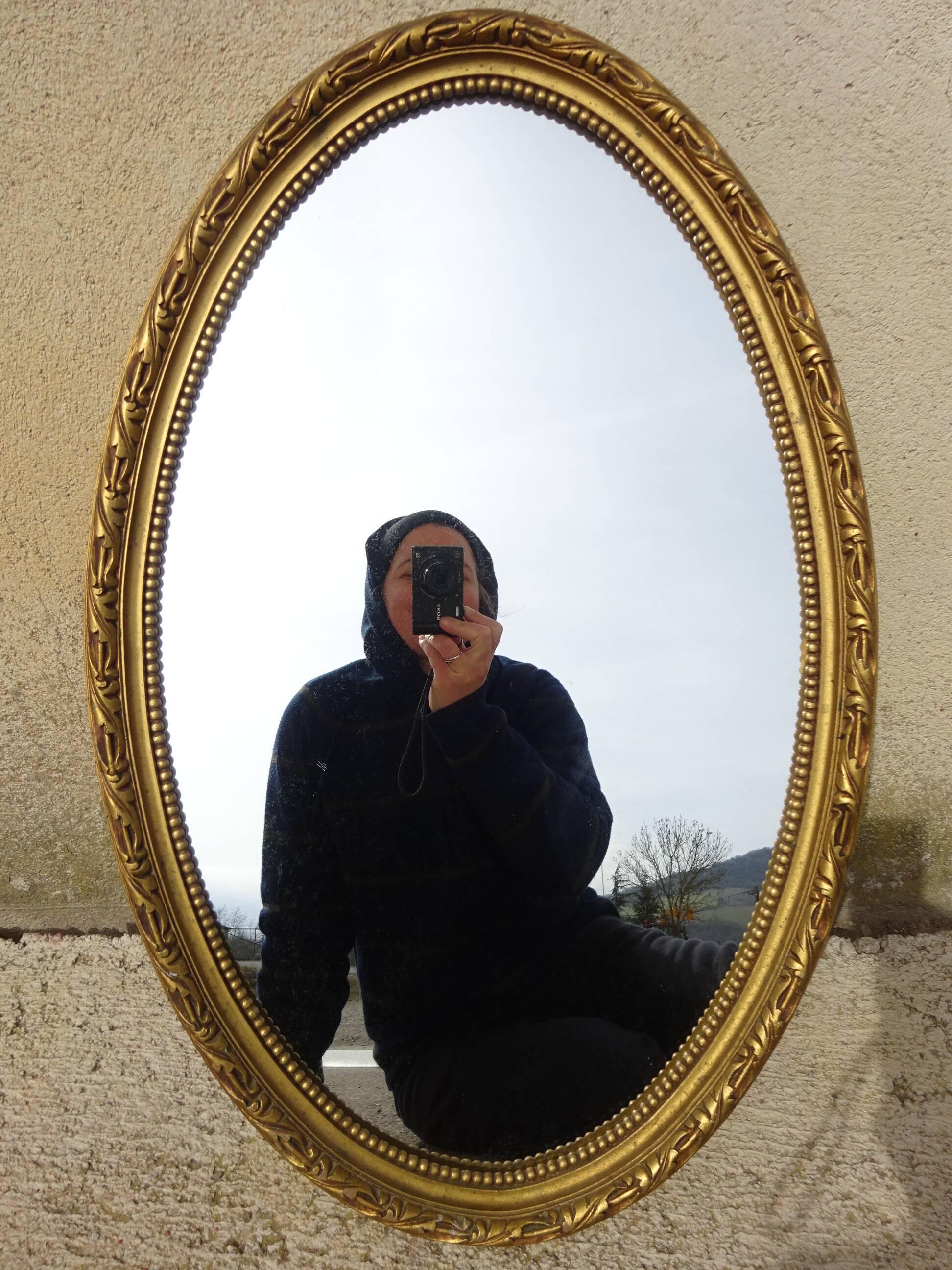 Louis XVI style golden medallion mirror, 63x41 cm