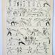 Old engraving 1898, Fencing, combat, sport, sword • Original and vintage lithograph