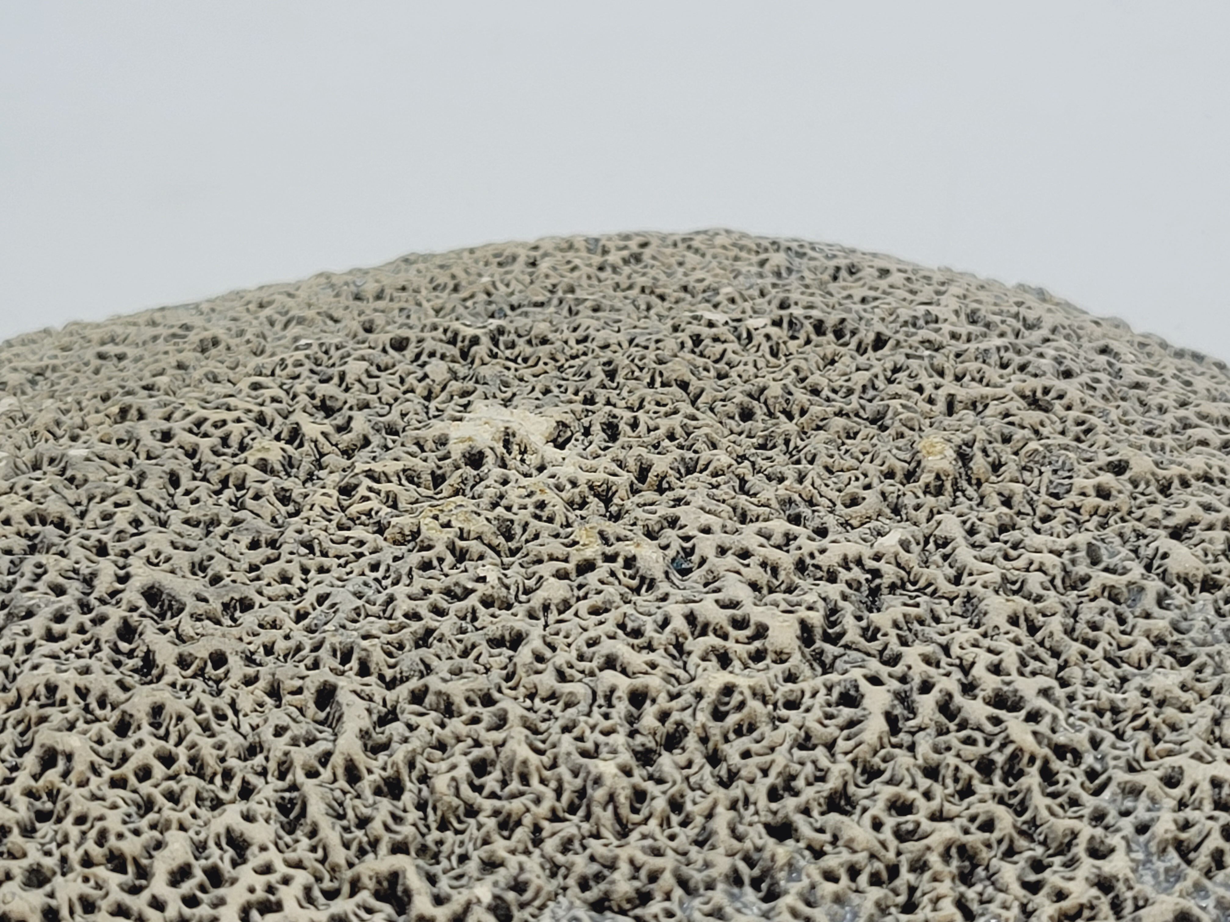 Decorative plate in glazed ceramic plaster? Prehistoric hunting décor