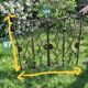 Wrought iron gates