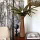 Lamp palm wood and rope