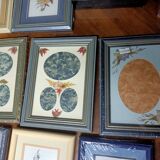 5 herbariums, framed floral arrangement