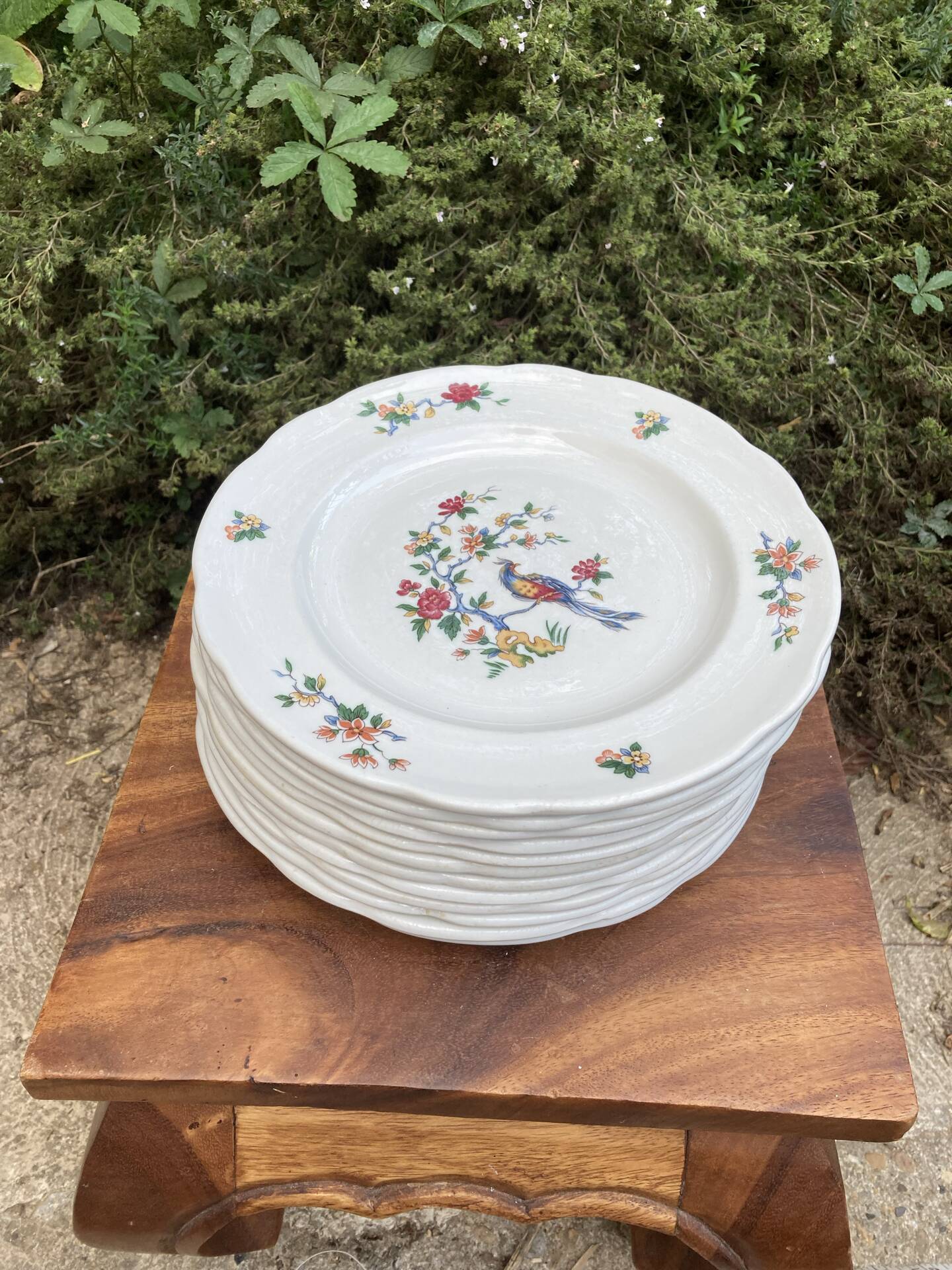 Sarreguemines plates paradise birds / Phoenix