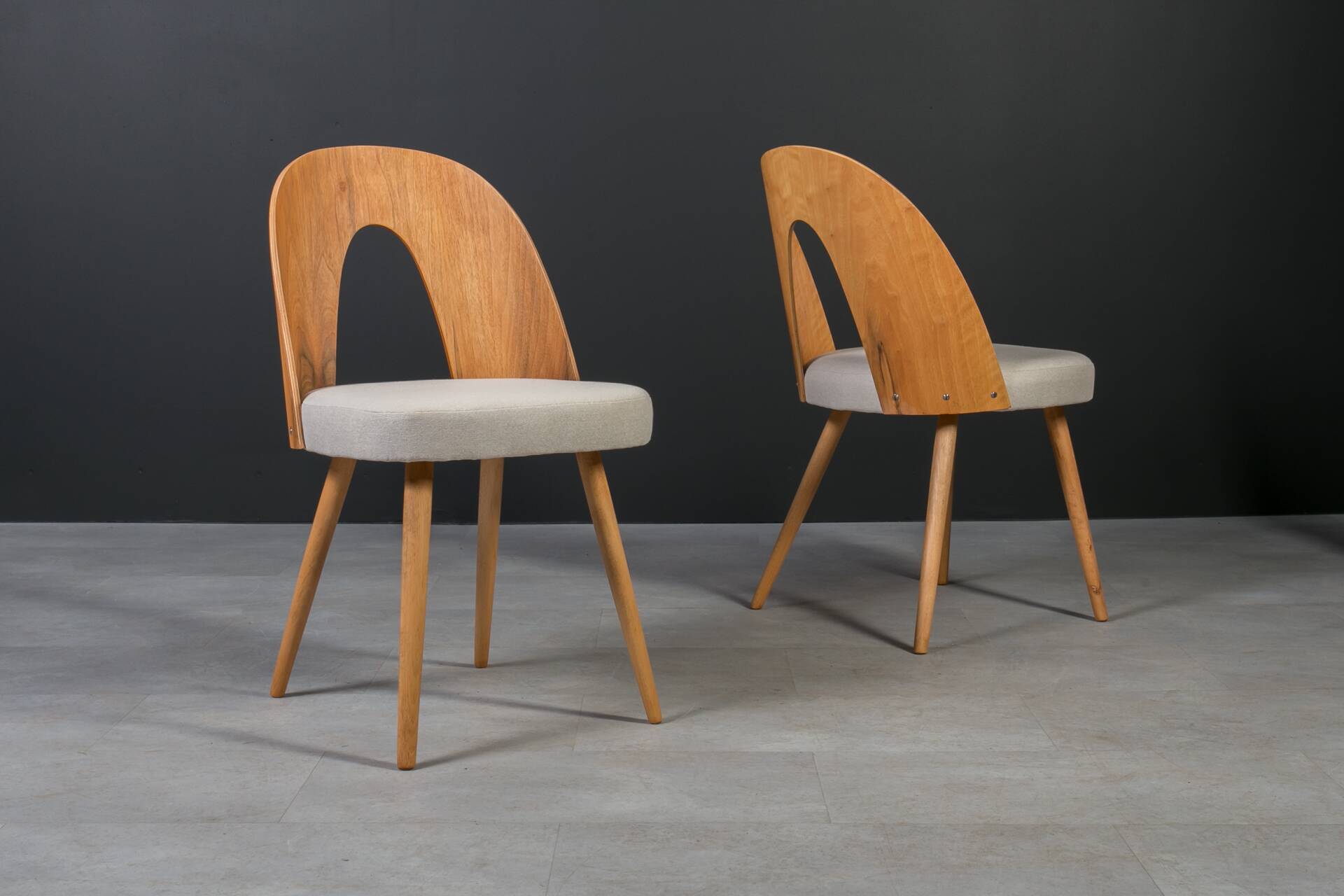 Unique dining set: Extendable round table and Czech chairs by Antonín Šuman