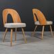 Unique dining set: Extendable round table and Czech chairs by Antonín Šuman