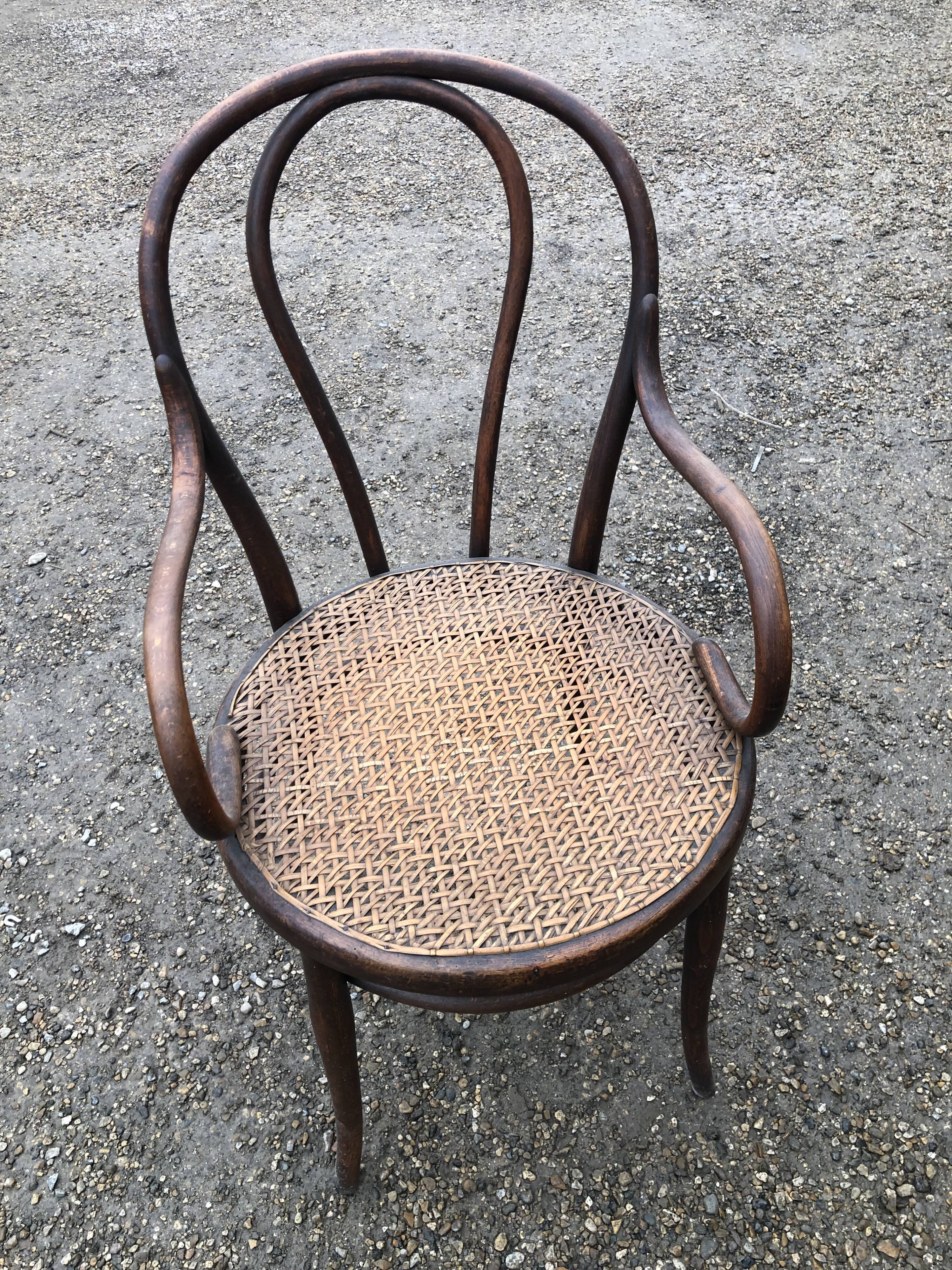 Tuna armchair
