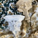Antique wall console in patinated white plaster.