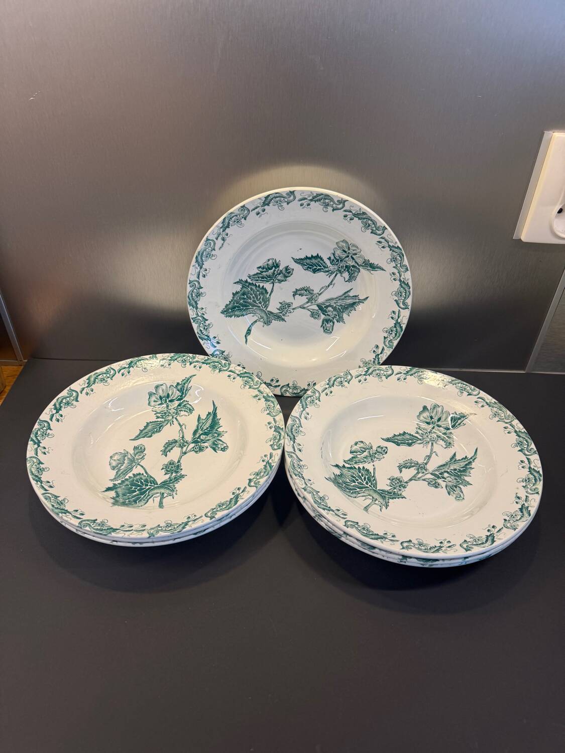 Set of 7 Terre de fer soup plates, green