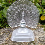 CRYSTAL PEACOCK CLIPBOARD