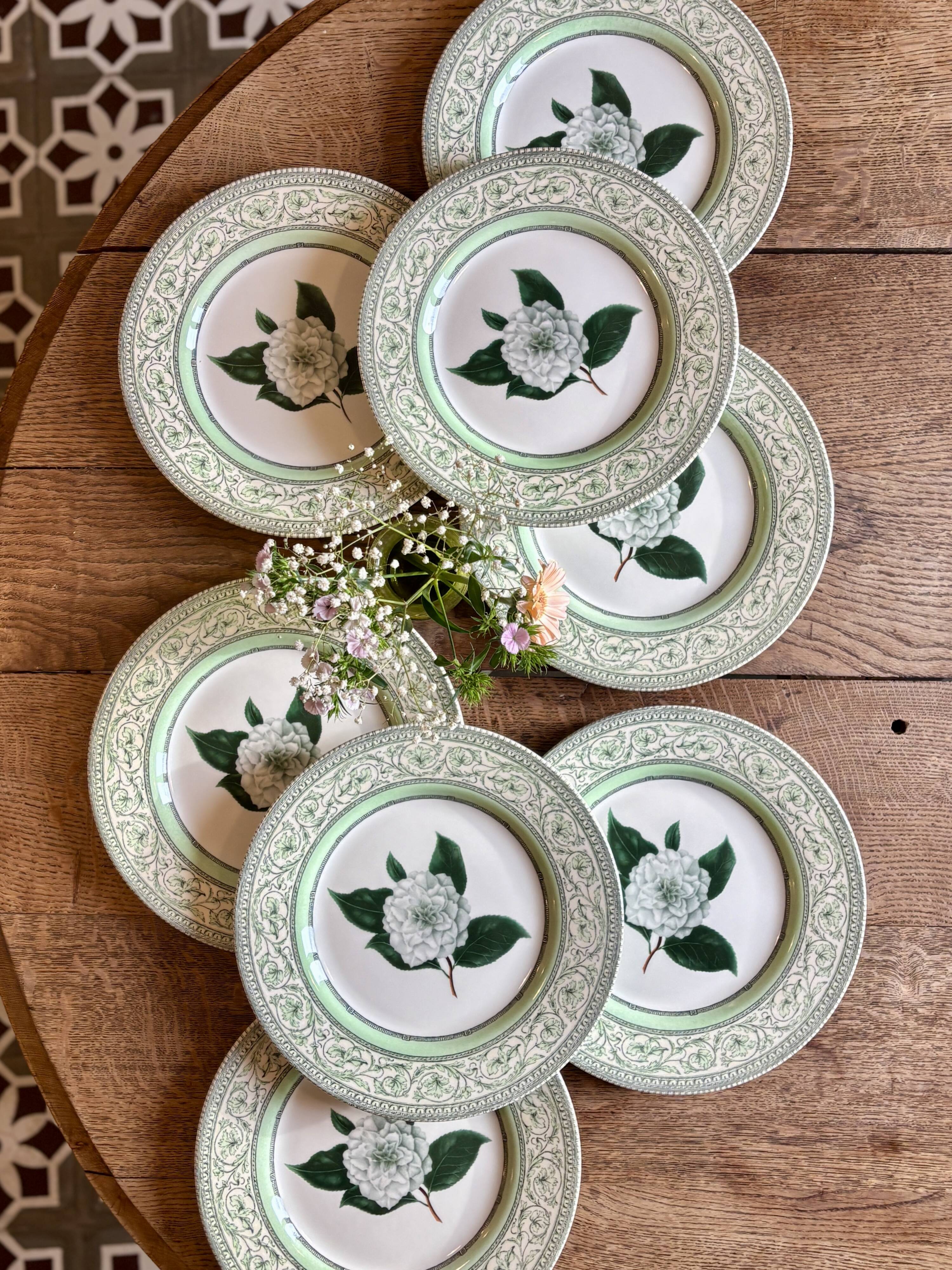Lot de 8 assiettes plates Camélia - en porcelaine Anglaise