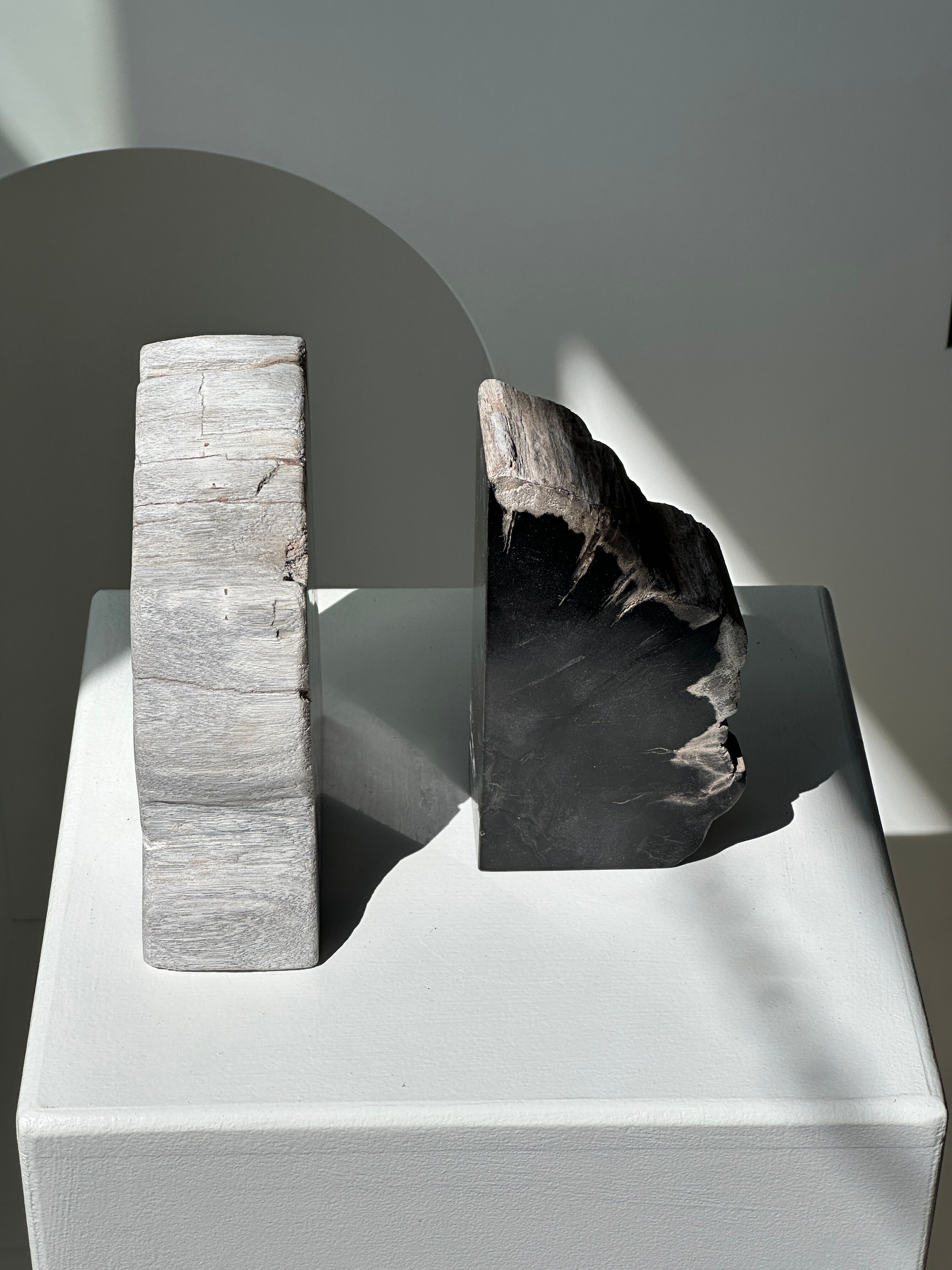 Black petrified wood bookend H17 L17 P6