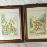 Pair of colorized mycological lithographs - Coprinus comatus, Psalliotta arvensis - 70s