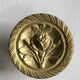 Large solid brass handle knob for door or furniture.