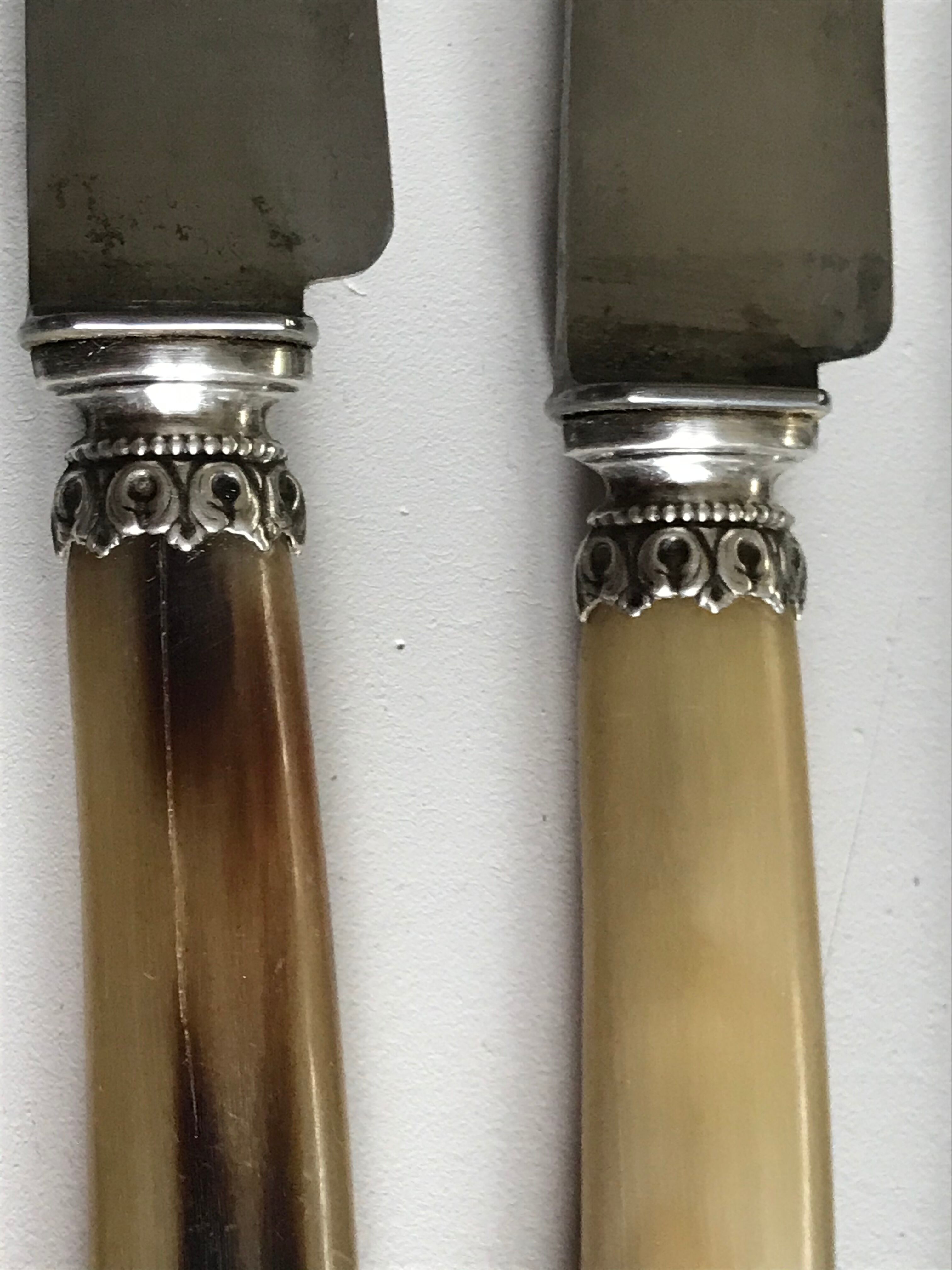 Lot of 24 horn handle knives circa 1900