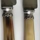 Lot of 24 horn handle knives circa 1900