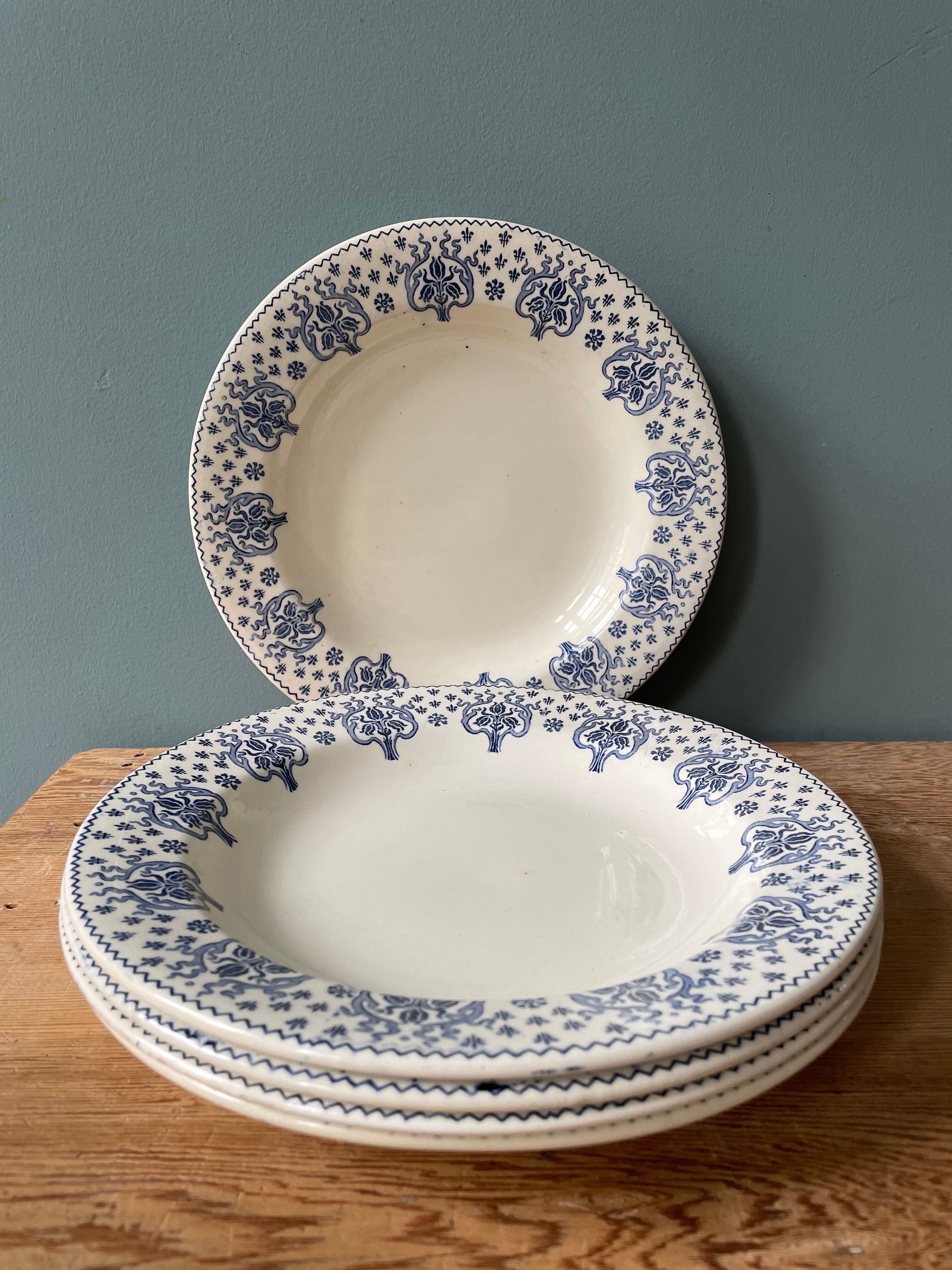 Set of 5 hollow plates Terre de Fer R&A Salins, model Palmes